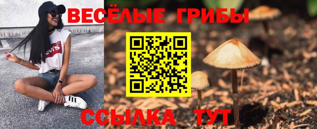 Галлюциногенные грибы мухоморы  Вход с VPN  Галлюциногенные грибы Magic Shrooms  Корсаков 