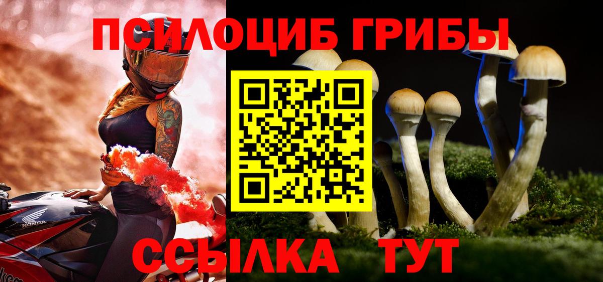 Псилоцибиновые грибы Psilocybine cubensis Корсаков